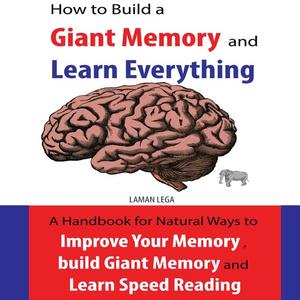 How to Build a Giant Memory and Learn Everything by Hayden Kan