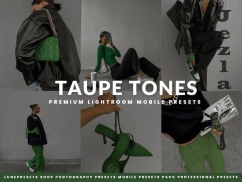 Taupe Tones Lightroom Presets