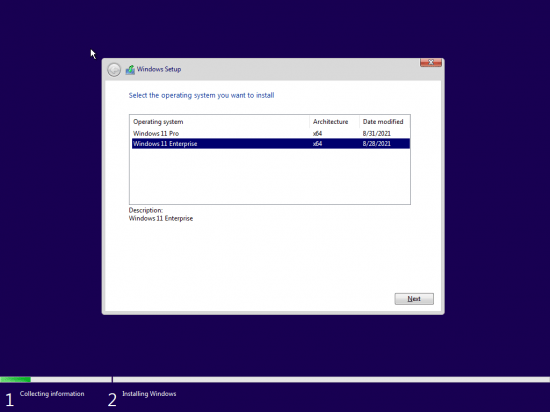 Windows 11 Pro/Enterprise Build 22000.168 (No TPM Required) With Office 2019 Pro Plus Preactivated