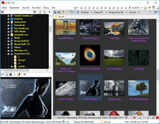 Q-Dir 11.21 Multilingual