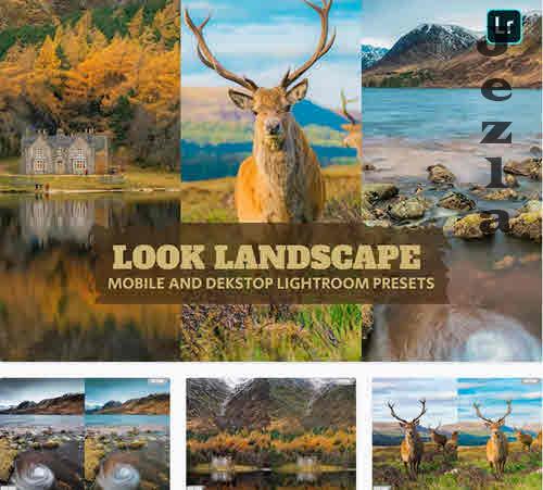 Look Landscape Lightroom Presets Dekstop Mobile - CCNMKSK