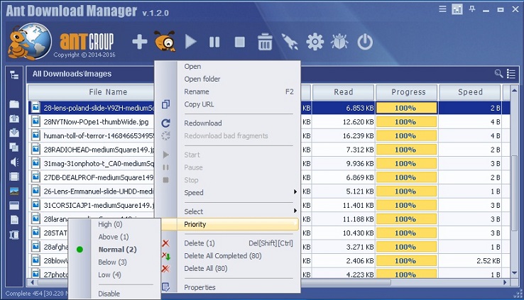 Ant-Download-Manager-Pro.jpg