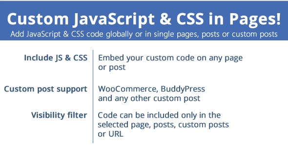 1558197734_custom-js-css-in-pages.jpg
