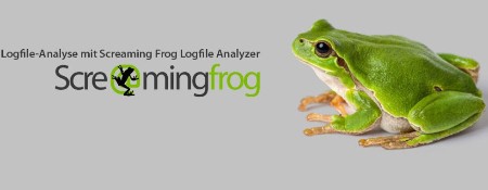 Screaming-Frog-Log-File-Analyser-5-3.jpg