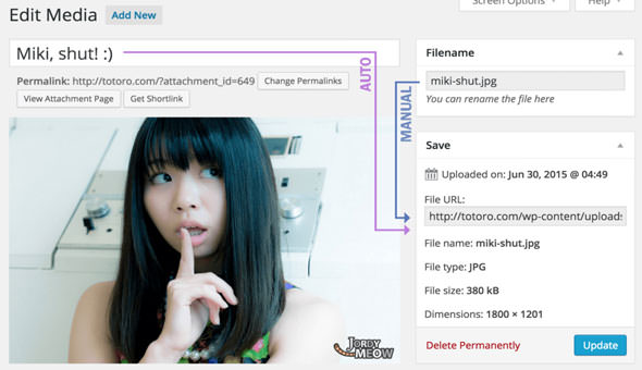 1531542177_media-file-renamer-pro.jpg