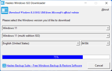 Hasleo-Windows-ISO-Downloader-1-5.png