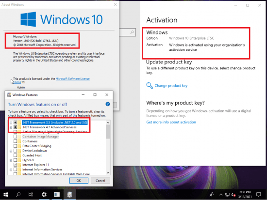 Windows 10 Enterprise 2019 LTSC 10.0.17763.1821 (x86/x64) Preactivated March 2021