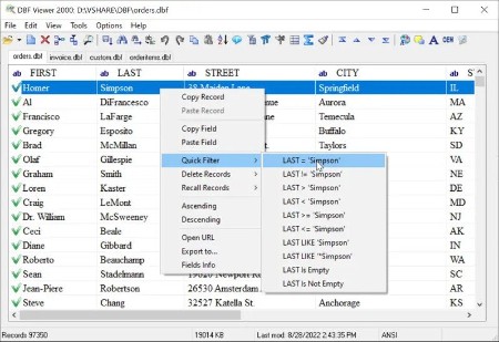 DBF-Viewer-2000-v8-0-Multilingual.jpg
