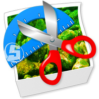 Image%20Resize%20Guide.jpg