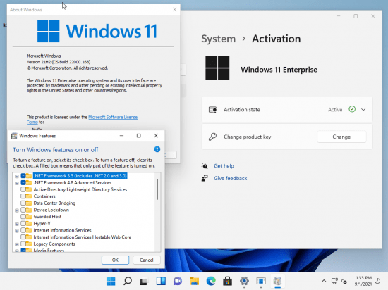 Windows 11 Pro/Enterprise Build 22000.168 (No TPM Required) With Office 2019 Pro Plus Preactivated